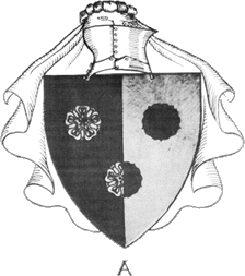 Simmons Coat of Arms